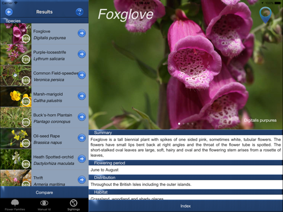 Wild Flower Id British Isles iPad screenshot 4 - Reference app