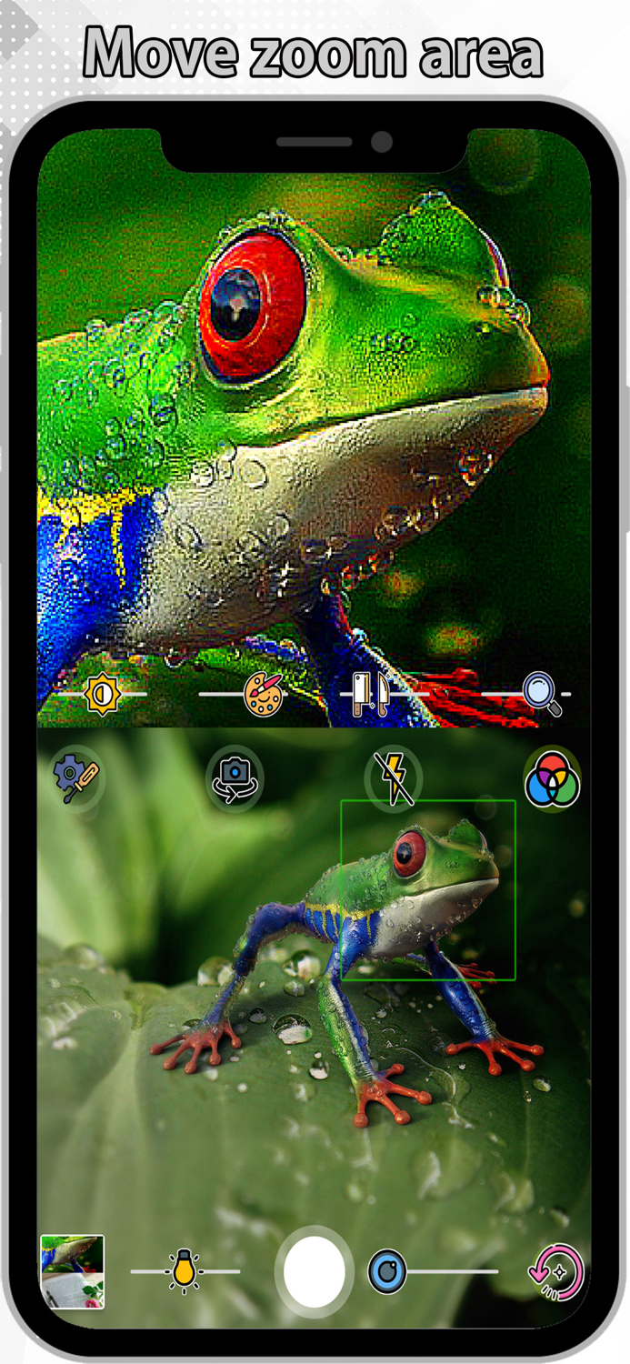 Dual Screen Magnifier