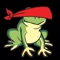 Blindfold Hopper is an fully accessible audio game that's a cross between the popular video game Frogger, and the frustratingly popular game iPhone game Flappy Bird