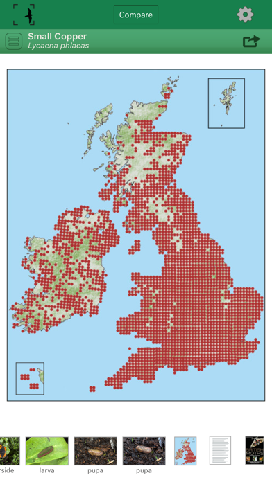 British & Irish Butterfliesのおすすめ画像4