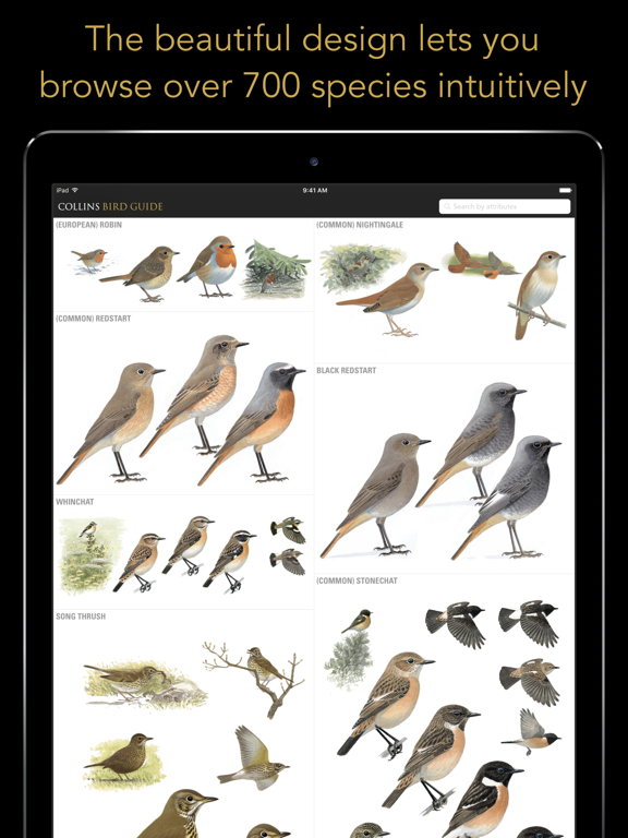 Screenshot #4 pour Collins British Bird Guide