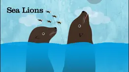 peek-a-zoo underwater ocean problems & solutions and troubleshooting guide - 3