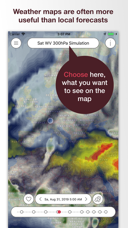 #5. Pflotsh ECMWF (iOS) 由: Garzotto GmbH
