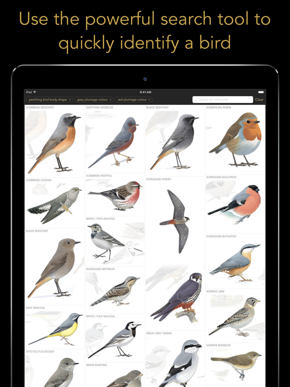 Screenshot #6 pour Collins British Bird Guide