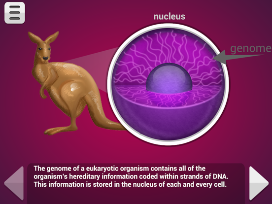 Screenshot #6 pour Biology Mitosis & Meiosis Pro