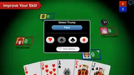 Game screenshot Euchre 3D hack