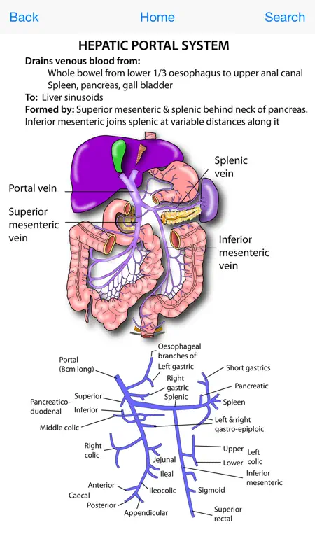 Instant Anatomy Flash Cards screenshot 1 of 4