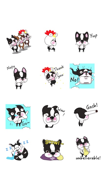Animated Boston Terrier 2 screenshot-4