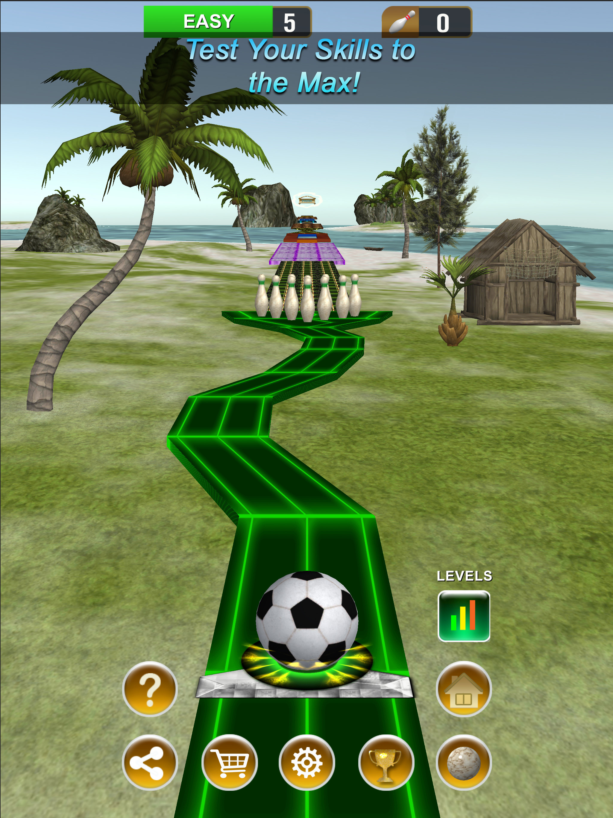 Amazing Bowling Paradise