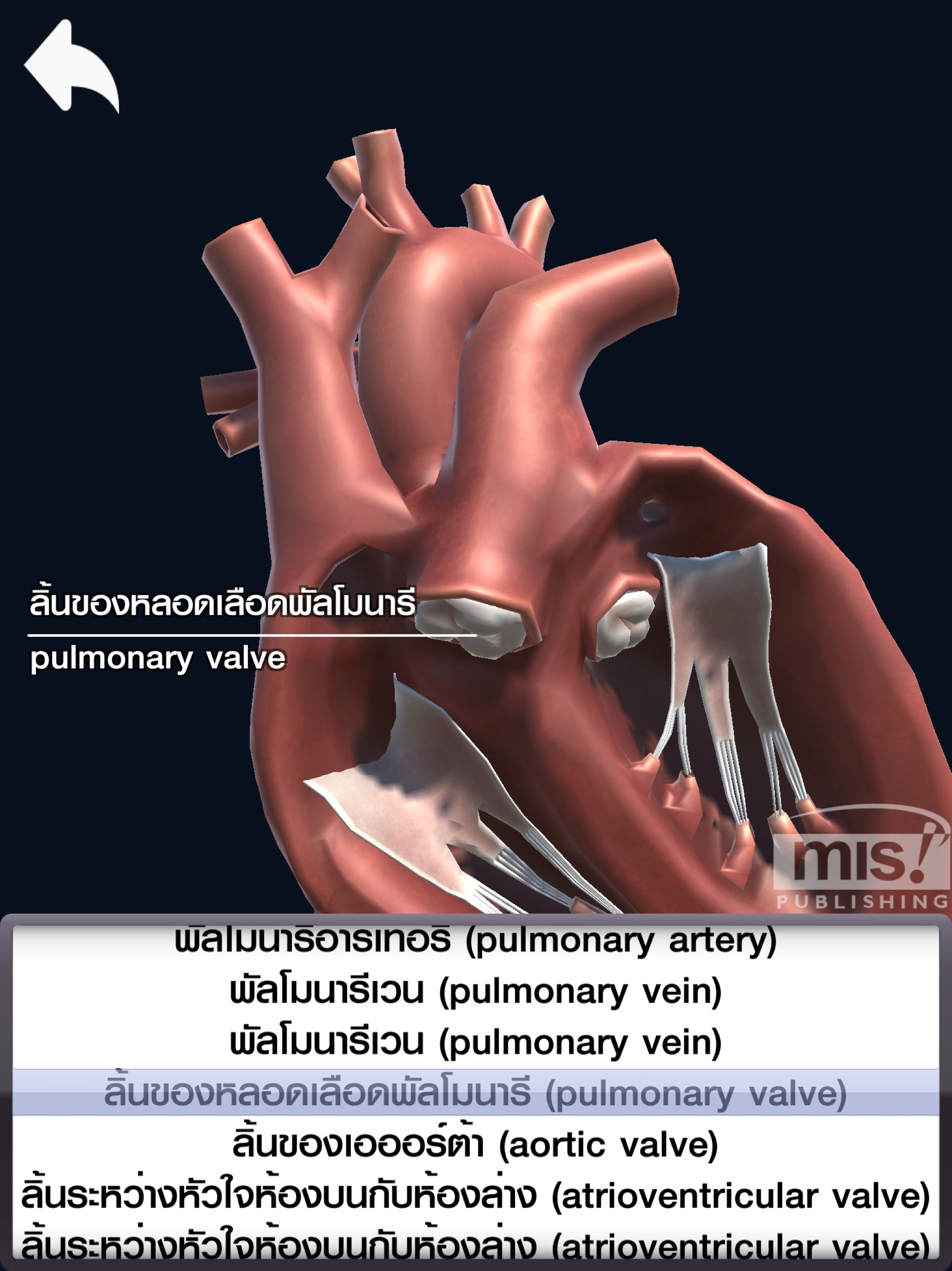 MIS Human Body AR Poster