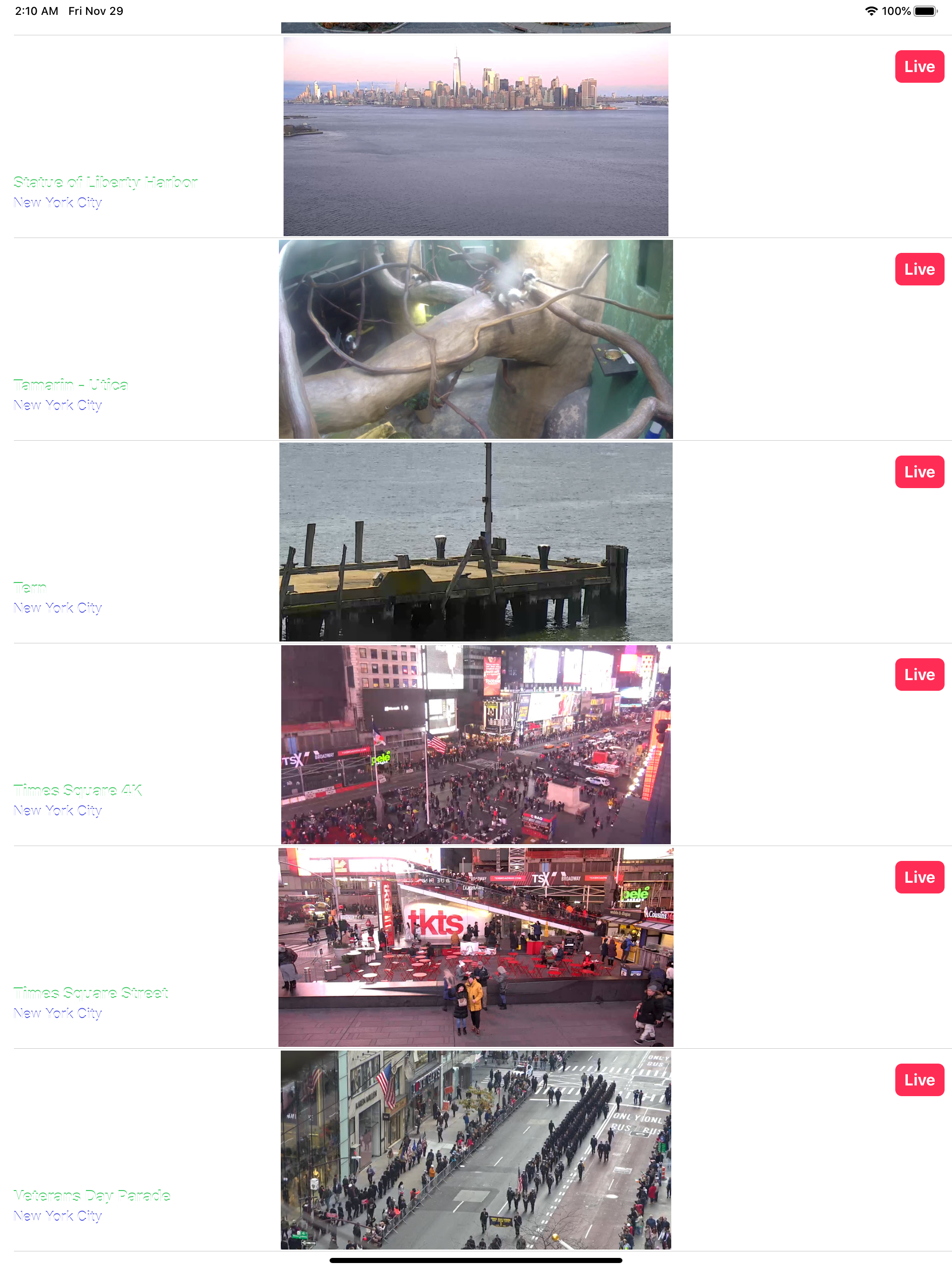 Live Cam New York