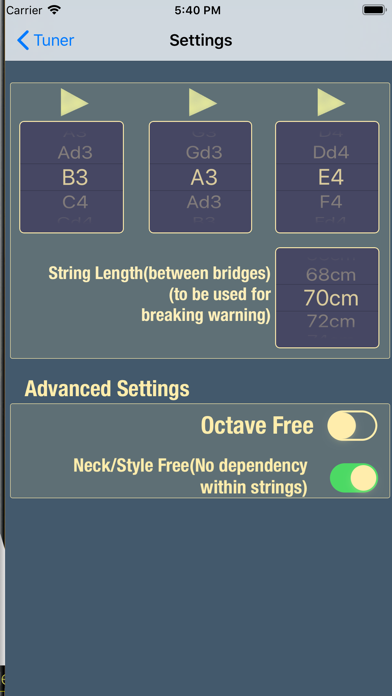 Bağlama Tuner Screenshot 6