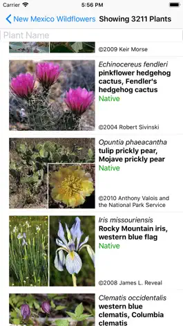 Game screenshot New Mexico Wildflowers apk