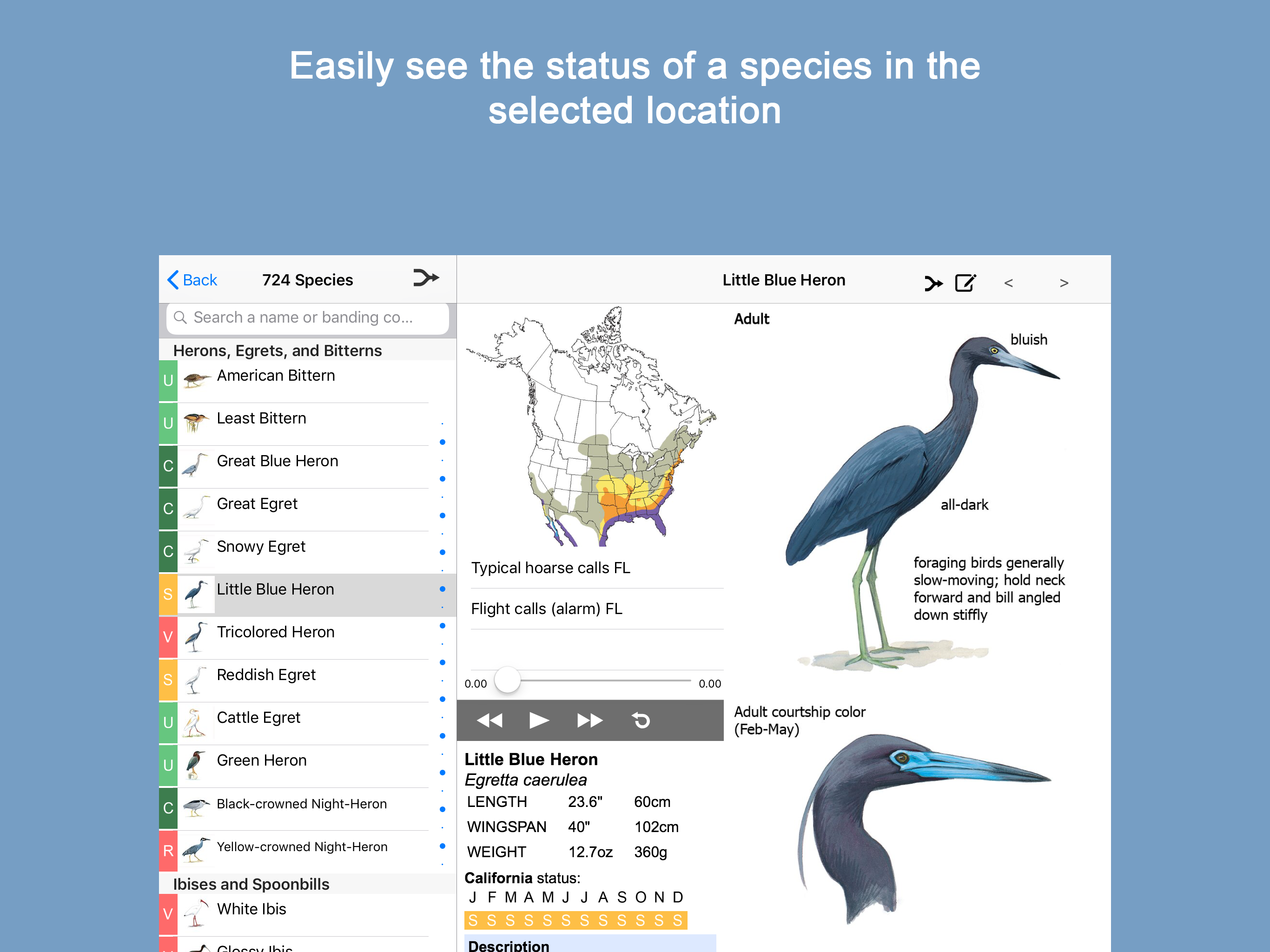 Sibley Birds 2nd Edition