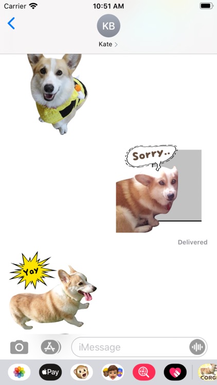 Fluffy cute Corgi Stickers