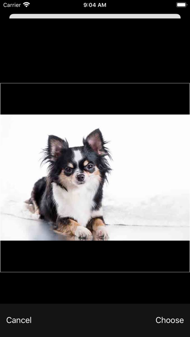 dog background remover iPhone screenshot 5 - Photo & Video app