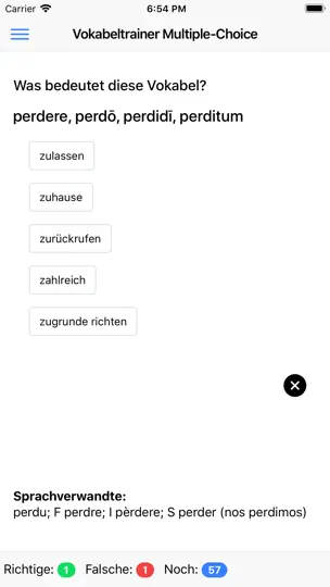 Screenshot von Navigium-Online auf dem iPhone 3