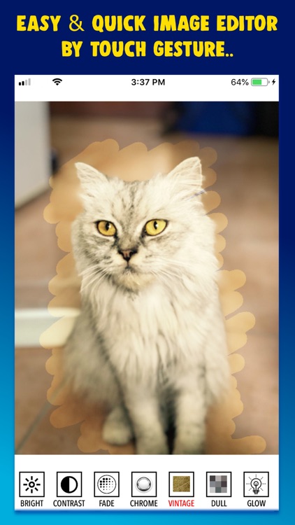 Photo Touch-Up Editor