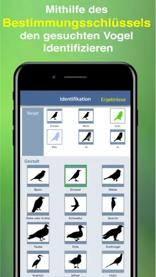 Screenshot von Vogel Id Gartenvögel Bestimmen auf dem iPhone 4