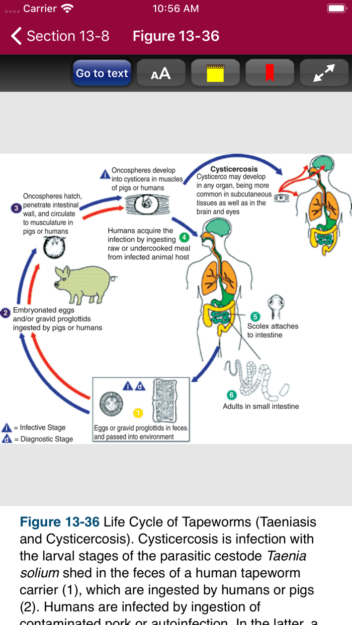 Atlas of Pediatric ER Med 3-E