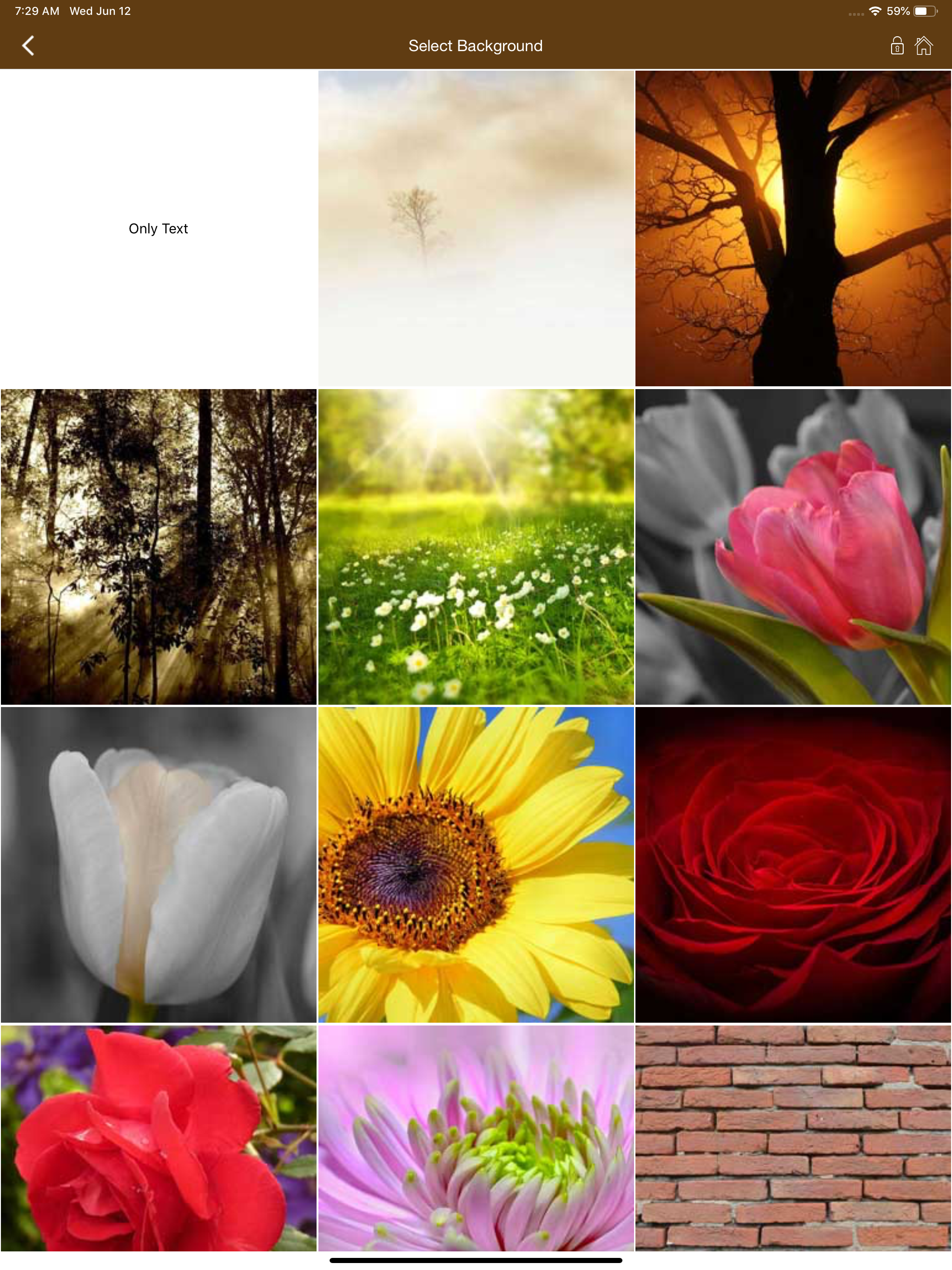 Islamic Greeting Cards