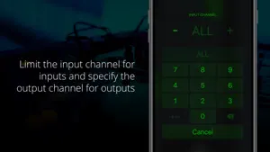 Midiflow Adapter (Audiobus) screenshot 2