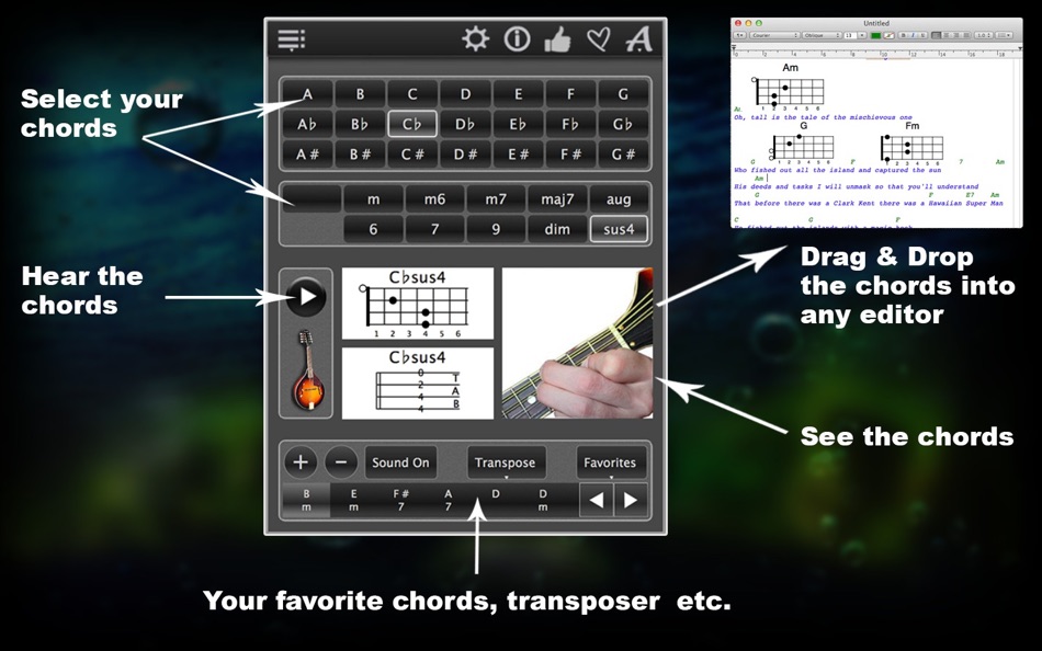 120 Mandolin Chords - 1.23 - (macOS)