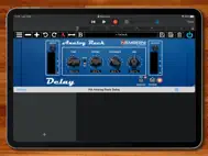 Analog Rack Delay ipad bilder 2