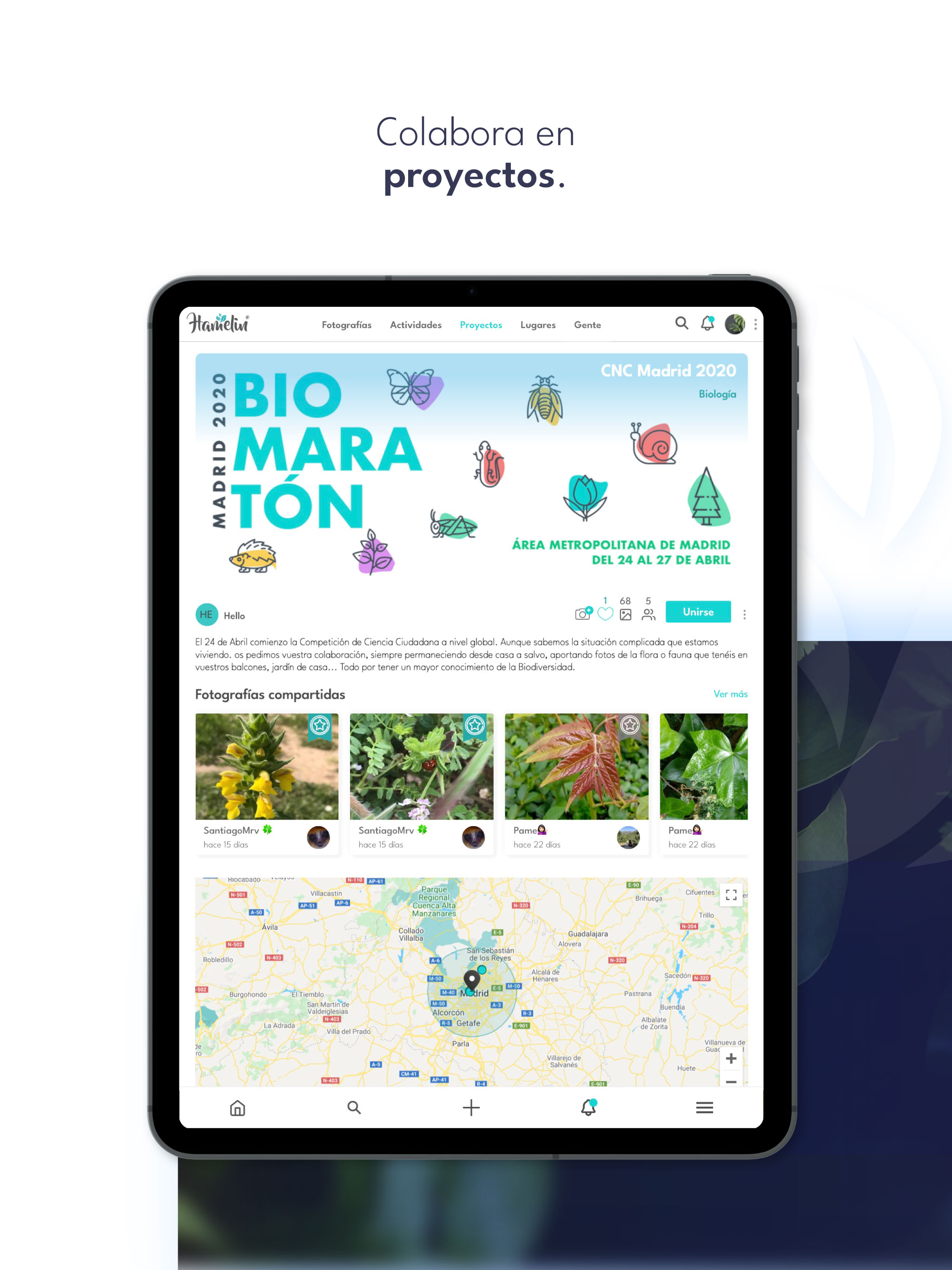 Hamelin Nature Social Network