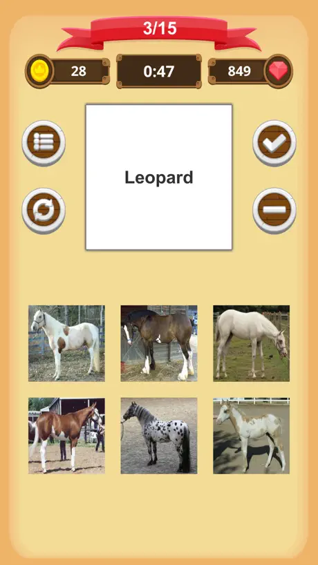Horse Coat Colors - Quiz