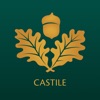 Bank of Castile Mobile castile and leon day 