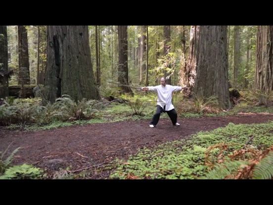 Tai Chi Sword for Beginners iPad screenshot
