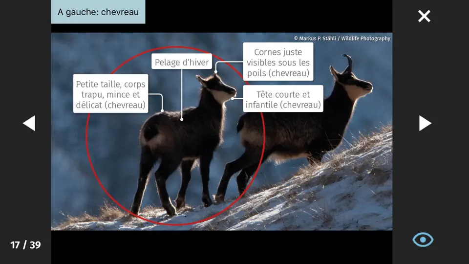 Capture d'écran de App Chasser En Suisse sur iPhone 3