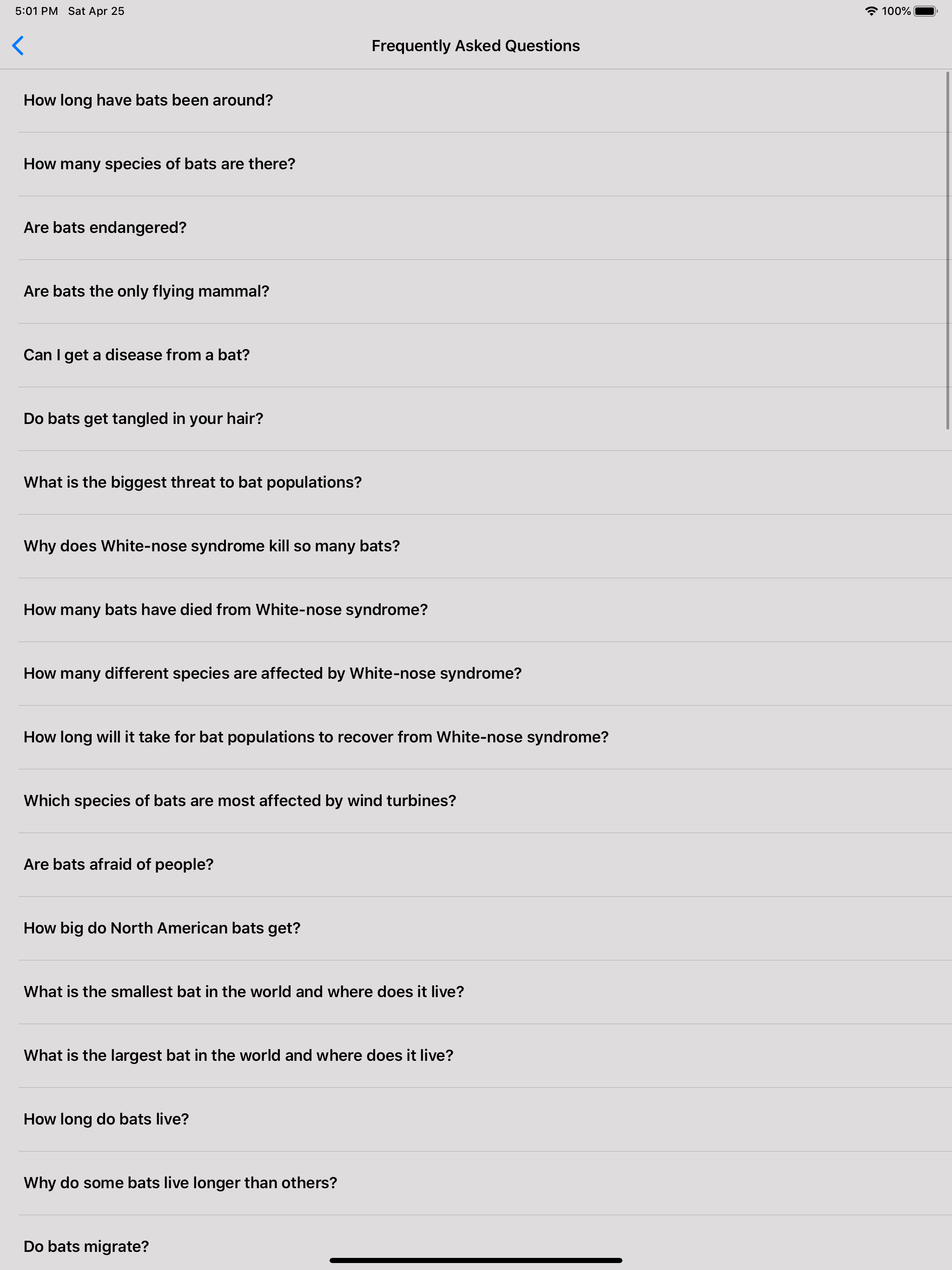 The Bat App