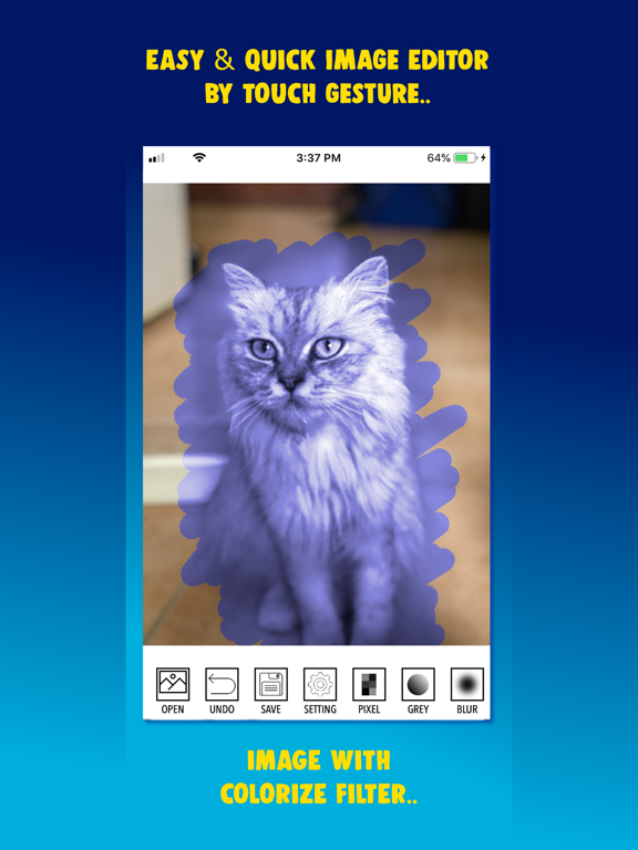 Photo Touch-Up Editor iPad screenshot