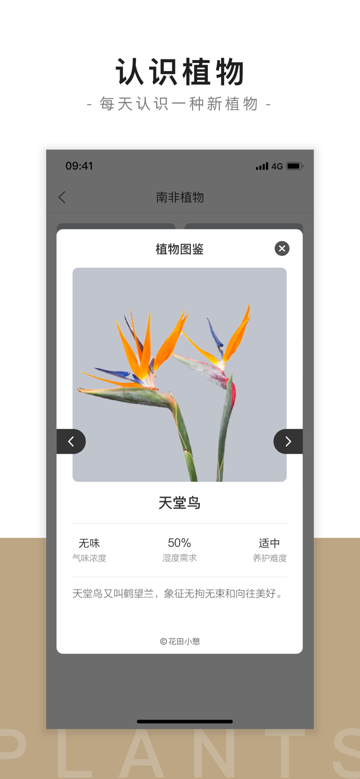 花田小憩 screenshot 2