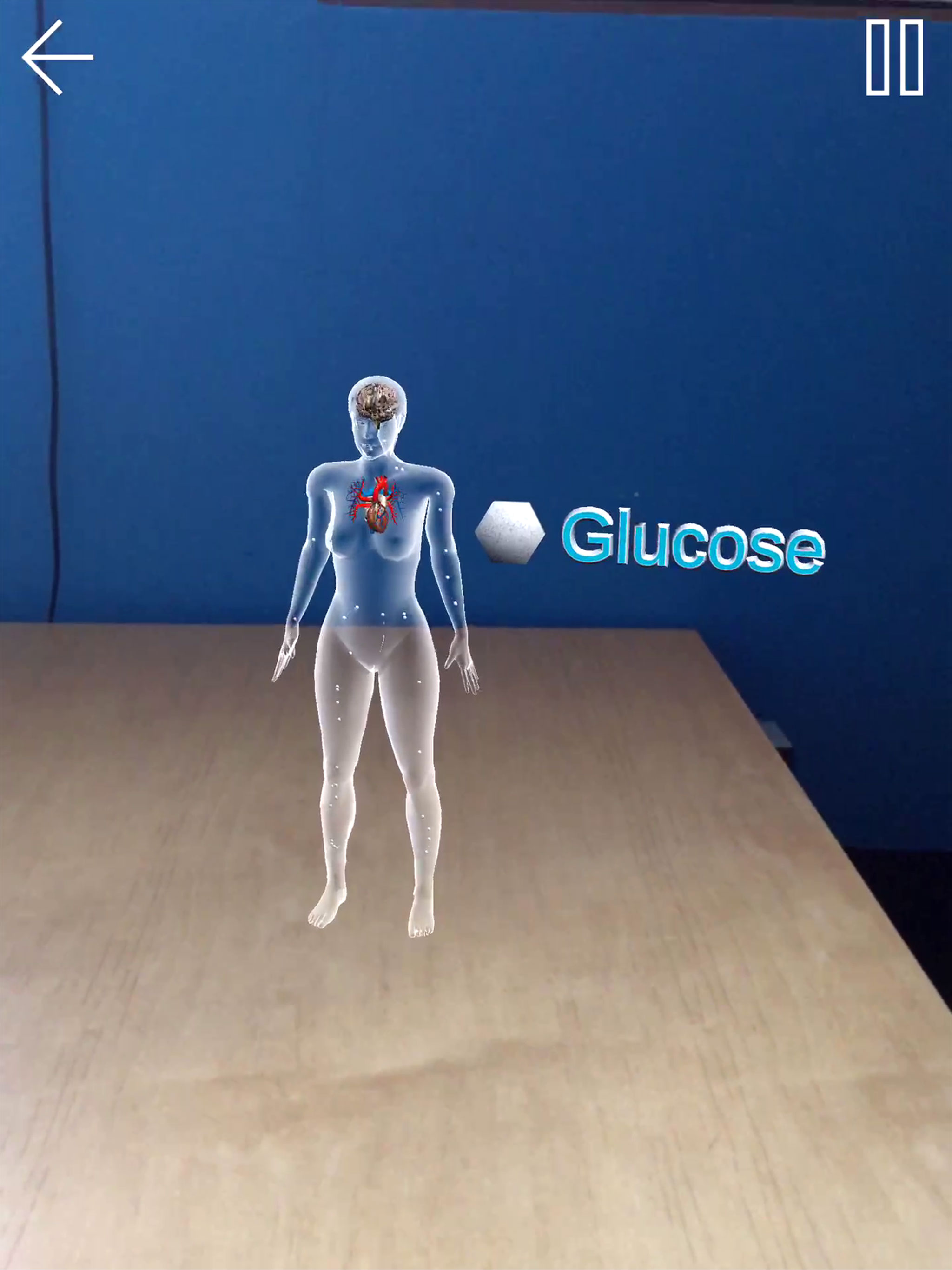 SGLT2 & GLP-1 in Diabetes screenshot 7
