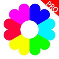 iAlbum Pro - 개인 사진 및 동영상 앨범