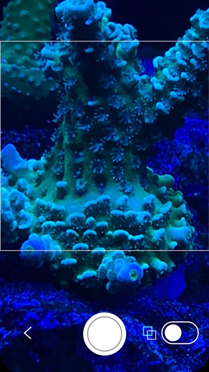 Aquarium Time screenshot-4