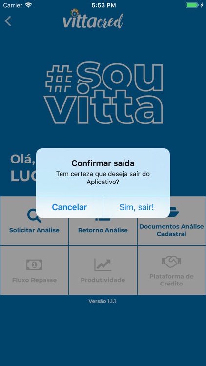 CleanPesquisa screenshot-4