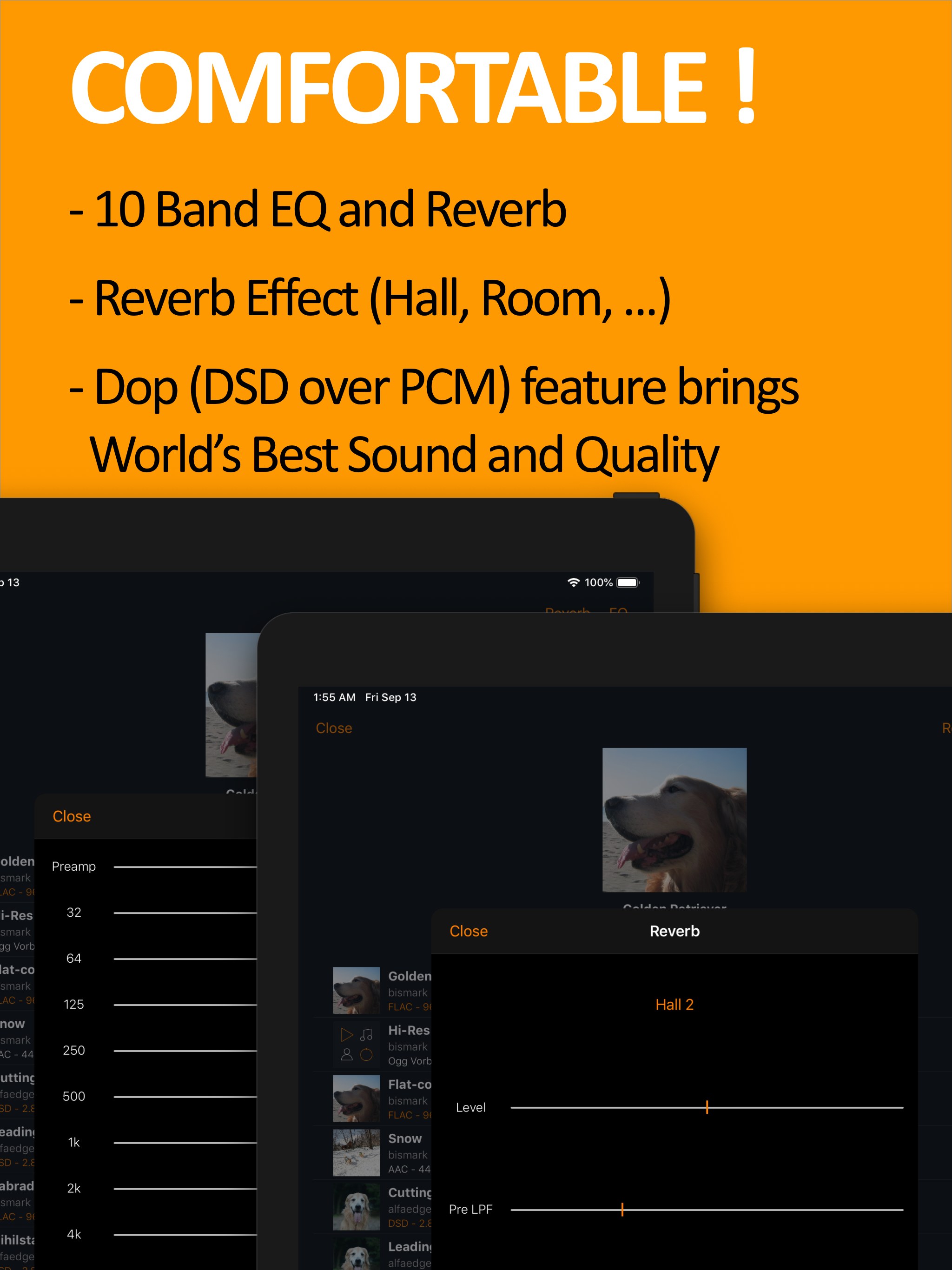 scylla - Hi-Res Music Player
