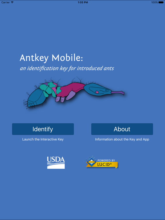 Antkey Mobile