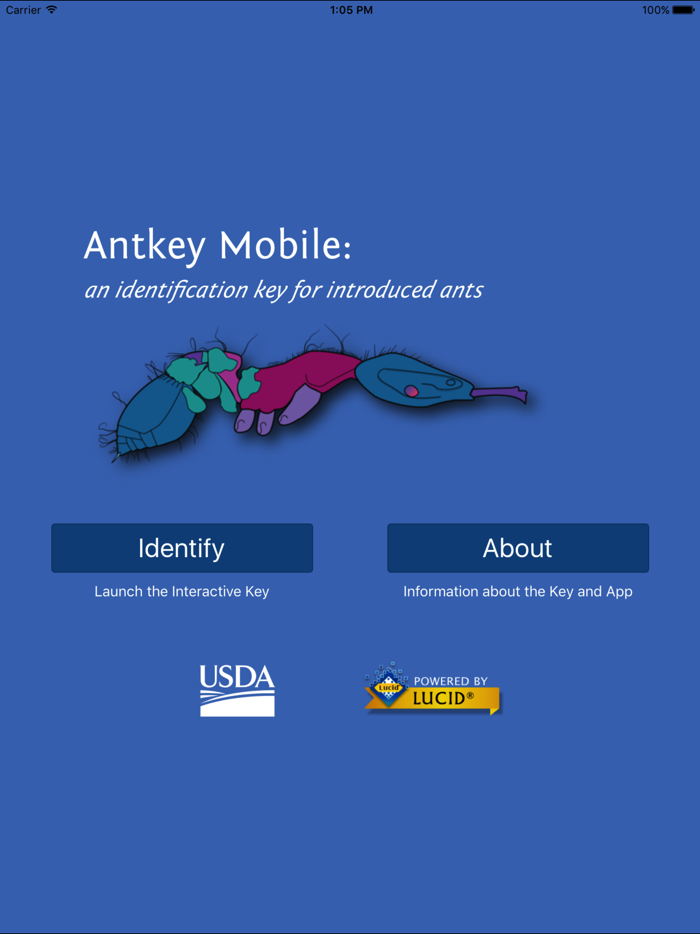 Antkey Mobile