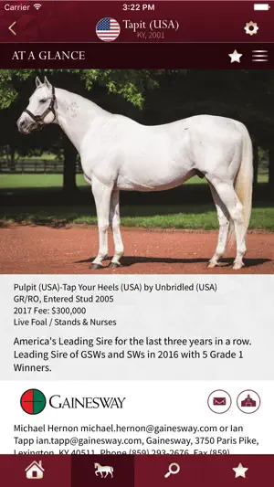 Global Stallions screenshot 1