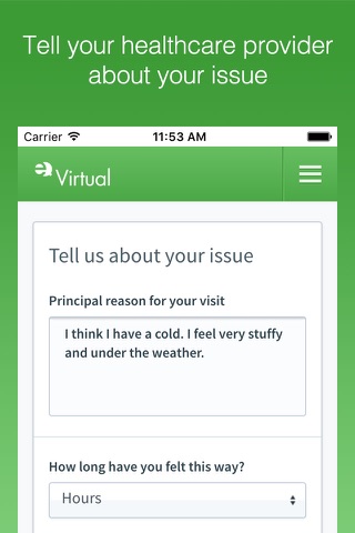 Access Virtual screenshot 2