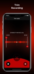 Quick Recorder: Voice Recorder screenshot #2 for iPhone