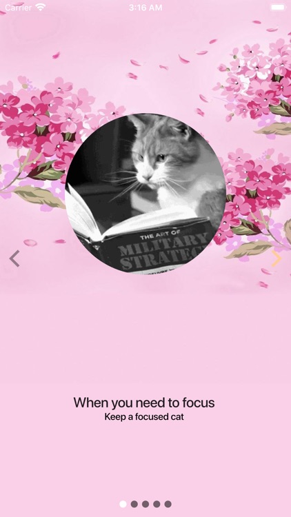 FocusCat screenshot-7