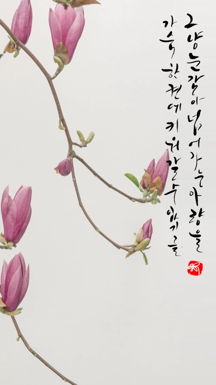 꽃같은 그대에게, 꽃캘리 screenshot-3