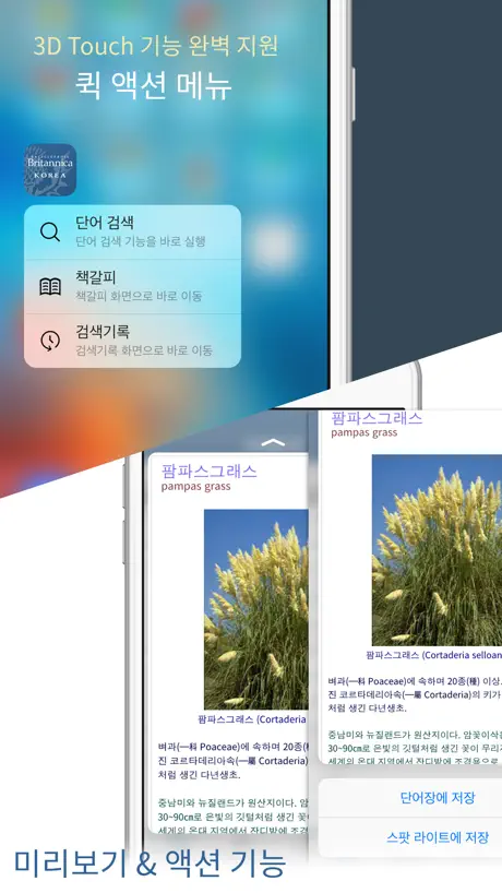 브리태니커 콘사이스 백과사전