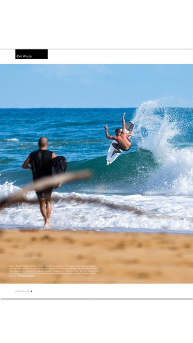 Surfing Life Screenshot